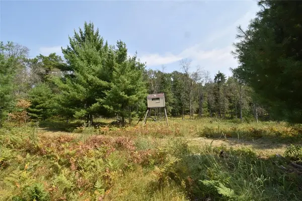 Lot 1 Pleasant Acres Trail, Danbury, WI 54830