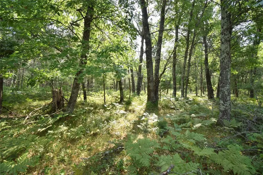 Lot 5 South Point Trail, Danbury, WI 54830 - #3