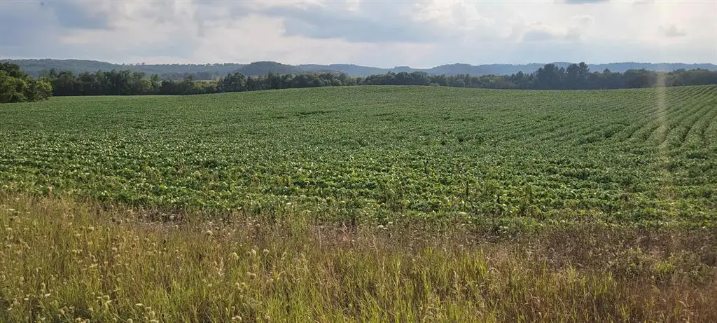 000 Casper Road, Alma Center, WI 54611 - #1