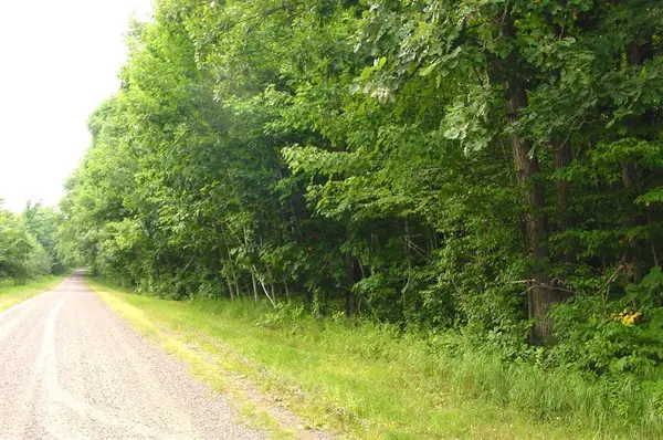 80 Acres on Bailey Road, Bruce, WI 54819