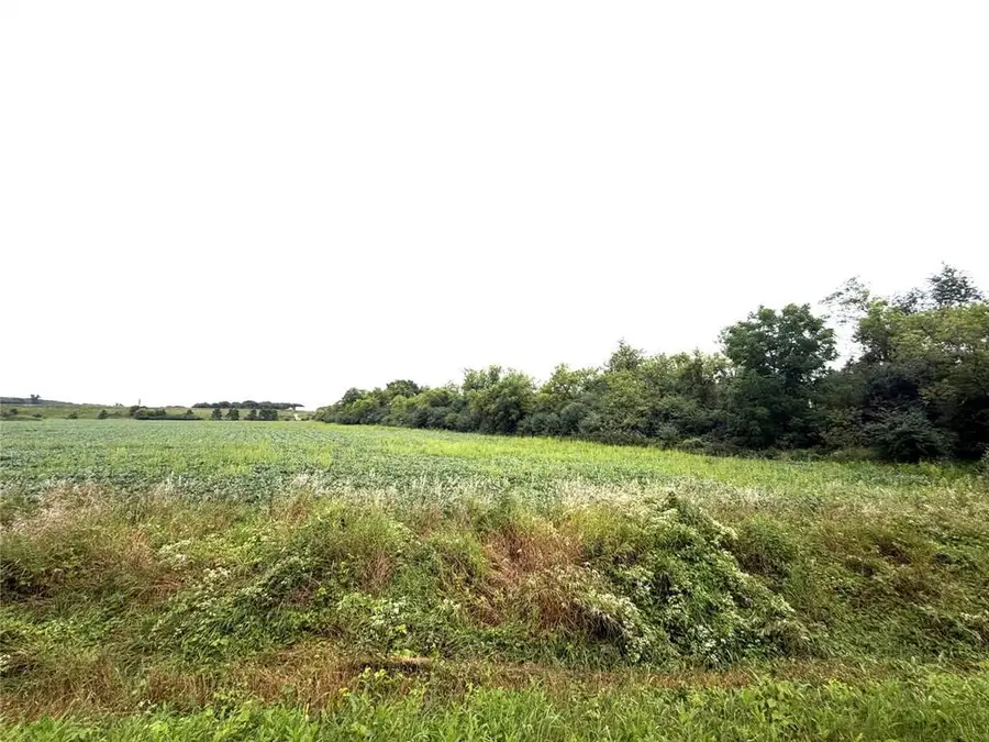 Lot 4 Van Tassel Rd, Osseo, WI 54758 - #2