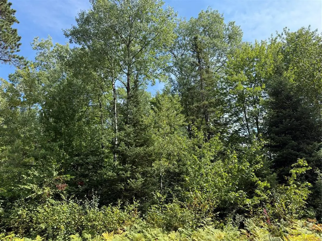 Lot 38 & 39 Stone Pine Drive, Cable, WI 54821 - #1
