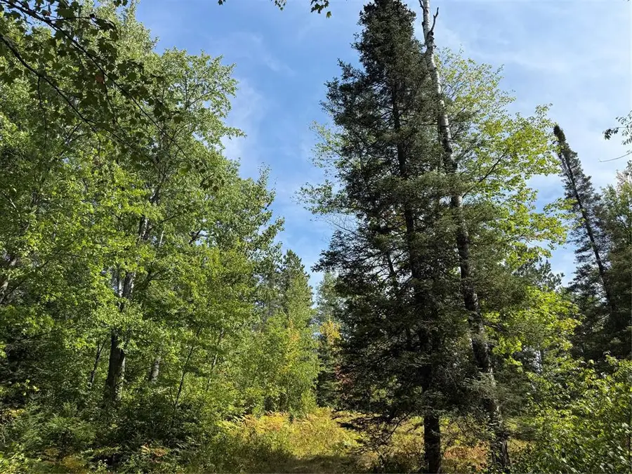 Lot 38 & 39 Stone Pine Drive, Cable, WI 54821 - #2