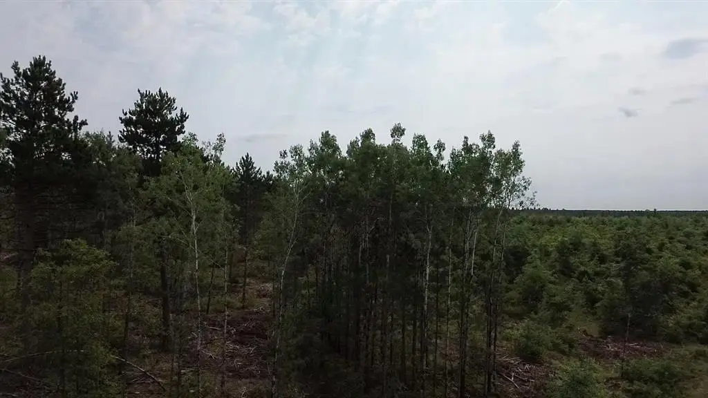 22XX Tomahawk Lake Road, Barnes, WI 54873 - #1