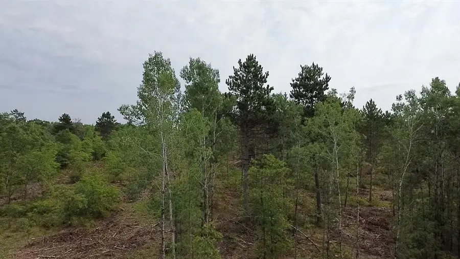 22XX Tomahawk Lake Road, Barnes, WI 54873 - #2