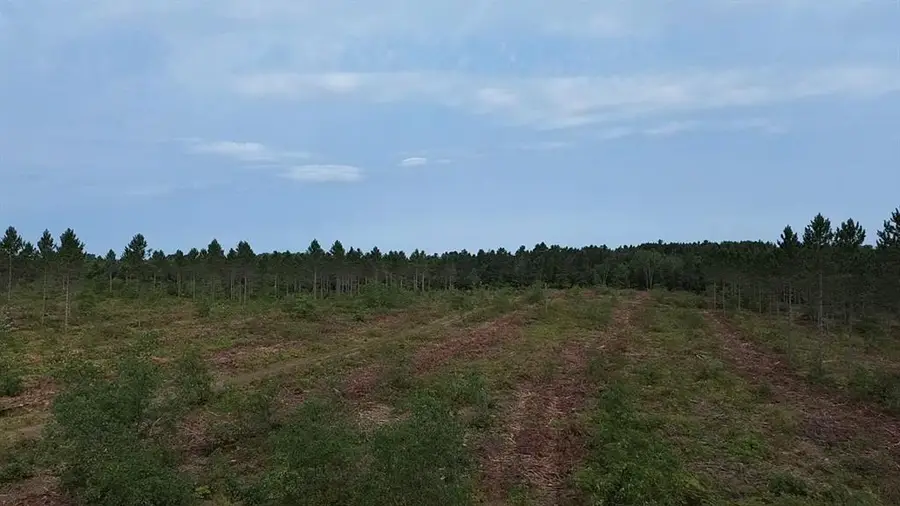 212X Ellison Lake Road, Barnes, WI 54873 - #3