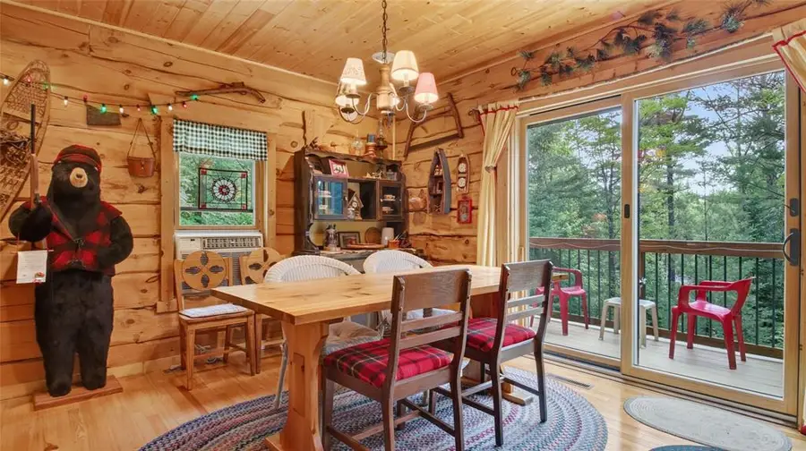 9146N Chippewa Pines Way, Montello, WI 54896 - #3