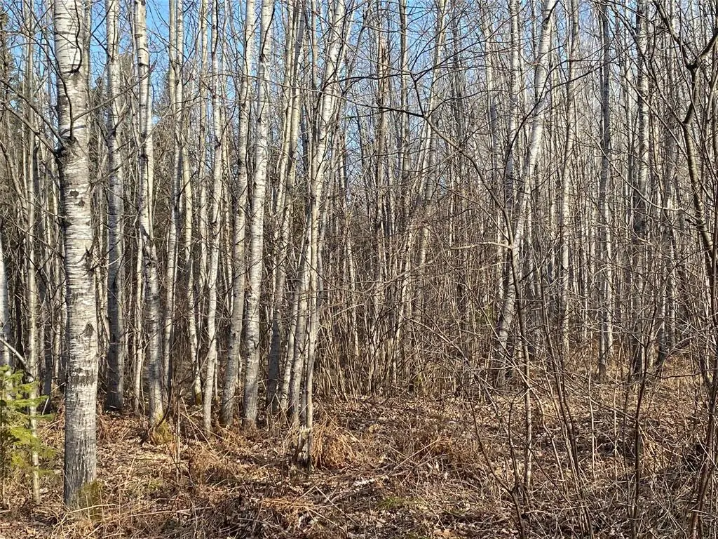 Near Jackson Road, Lake Nebagamon, WI 54849 - #1