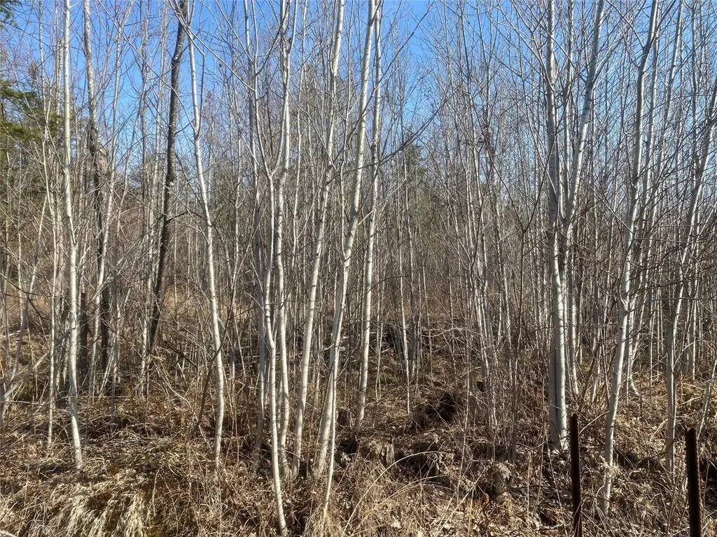 Near Tom Green Road, Solon Springs, WI 54873 - #1