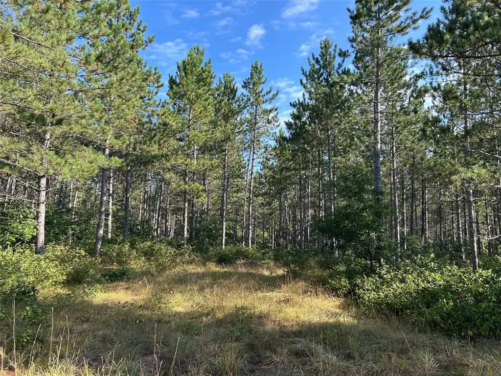 Near County Road Y, Gordon, WI 54838 - #1