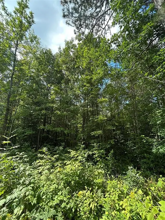 On Priest Road, Washburn, WI 54891 - #3