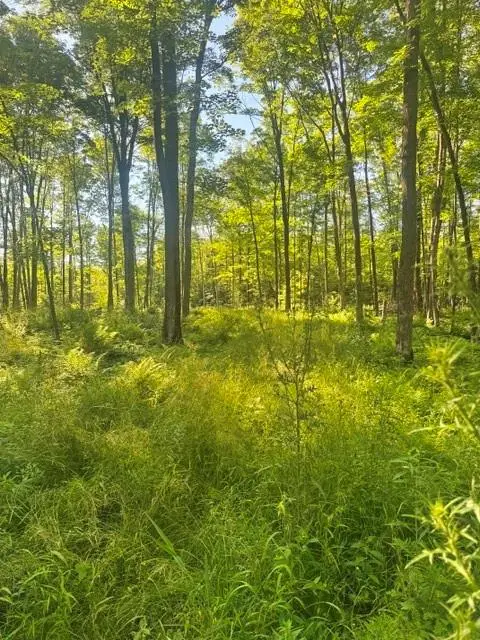 XXX East Grow Road, Conrath, WI 54731 - #2