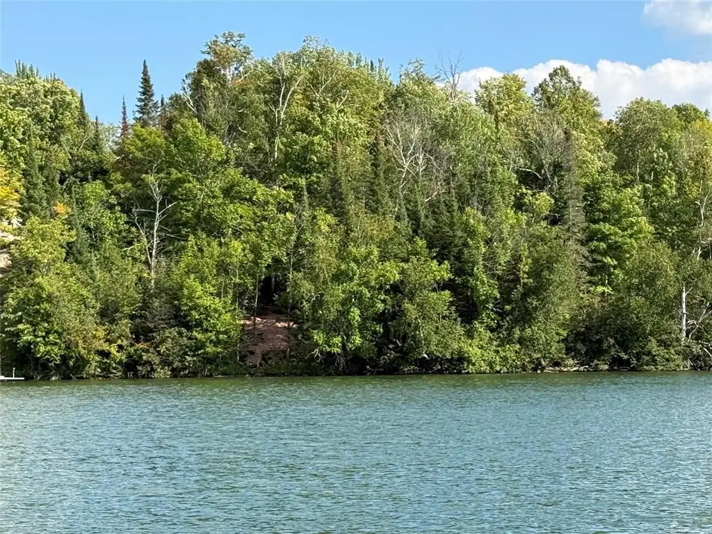 XXX Long Lake Road, Stone Lake, WI 54876 - #1