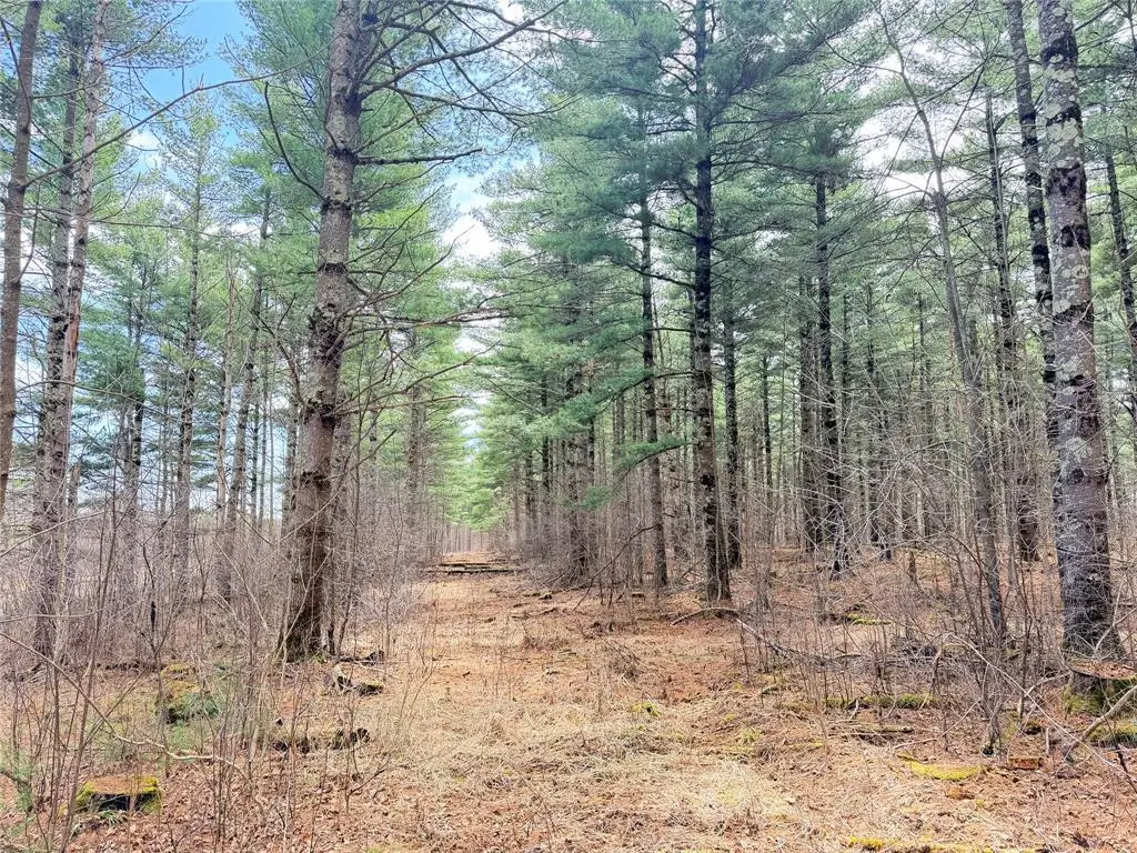 0 Star Lake Road, Rice Lake, WI 54868 - #1