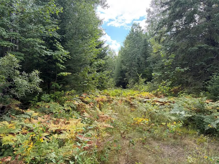 On Schwilk Road, Glidden, WI 54527 - #2