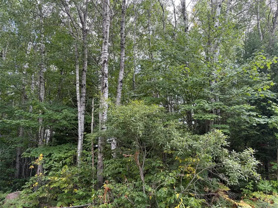 On Schwilk Road, Glidden, WI 54527 - #3