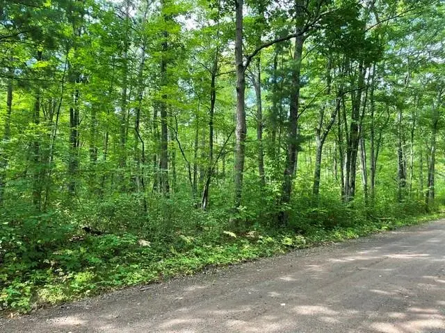0 Dixon Avenue, Hayward, WI 54843 - #1