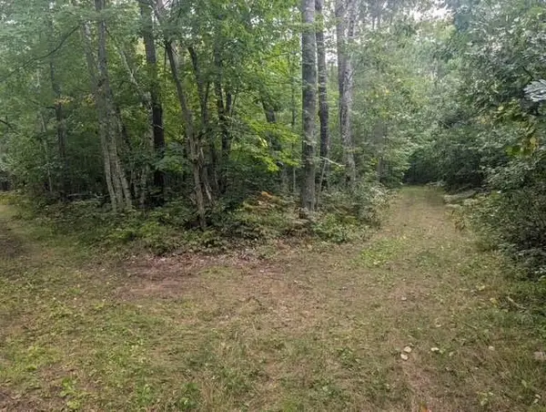 0 Ela Street, Trego, WI 54888