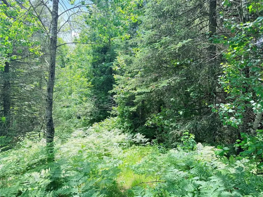 0 Boat Landing Road, Ladysmith, WI 54848 - #3
