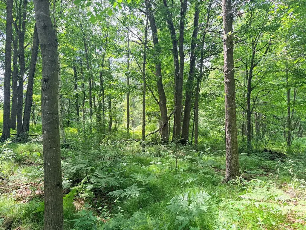 10 Acres Peterson Road, Bruce, WI 54819 - #1