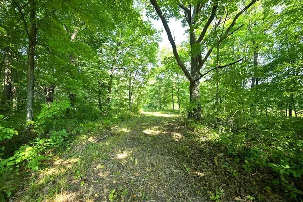 00 10 1/2-28 1/2, Barronett, WI 54813