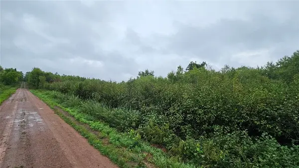 0 Anderson Lane, Radisson, WI 54821