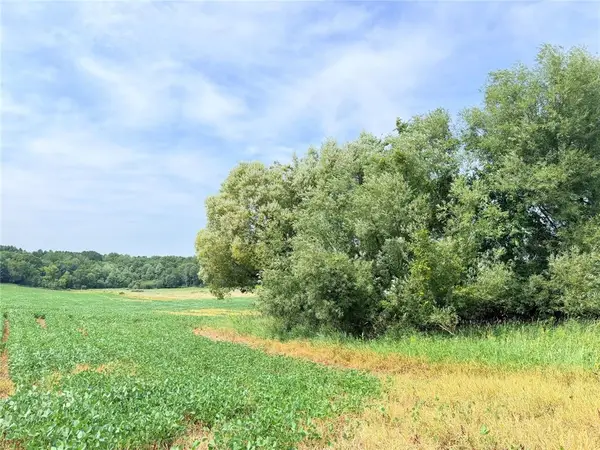 10 Acres 215th Street, St Croix Falls, WI 54024