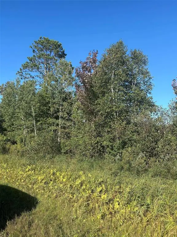 8360 S Old 11 Road, Solon Springs, WI 54873 - #3