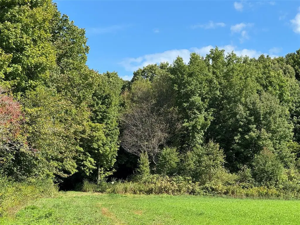 OOO County Road L, Merrill, WI 54452 - #1