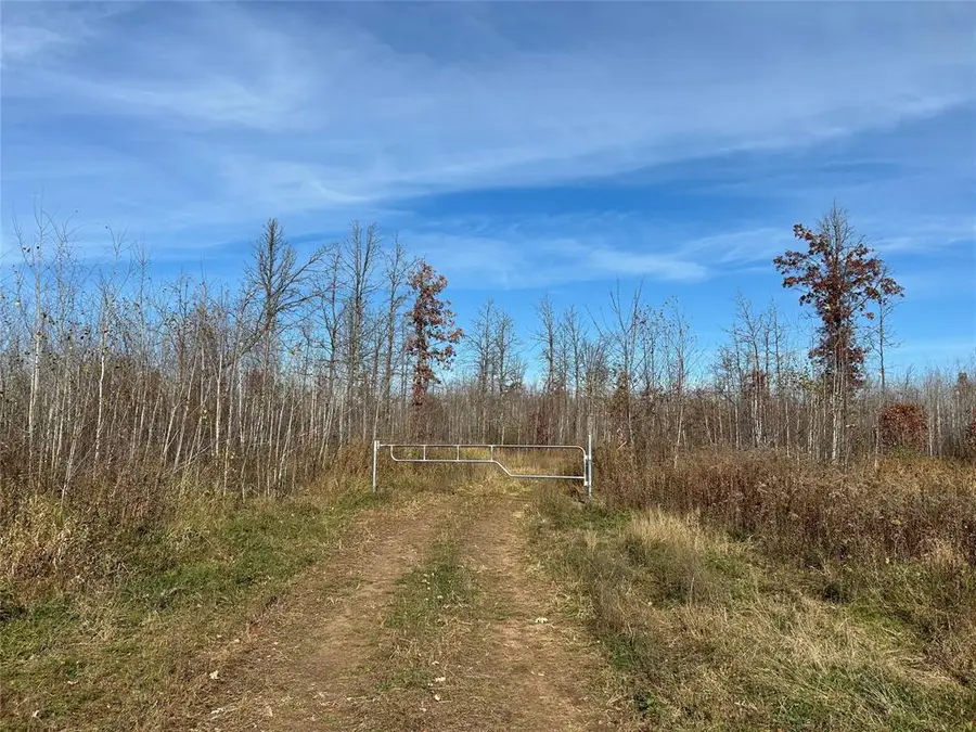 On Broken Arrow Road, Holcombe, WI 54745 - #2