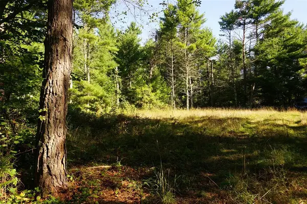 N9105 Flood -- Lot 5 Road, Black River Falls, WI 54615