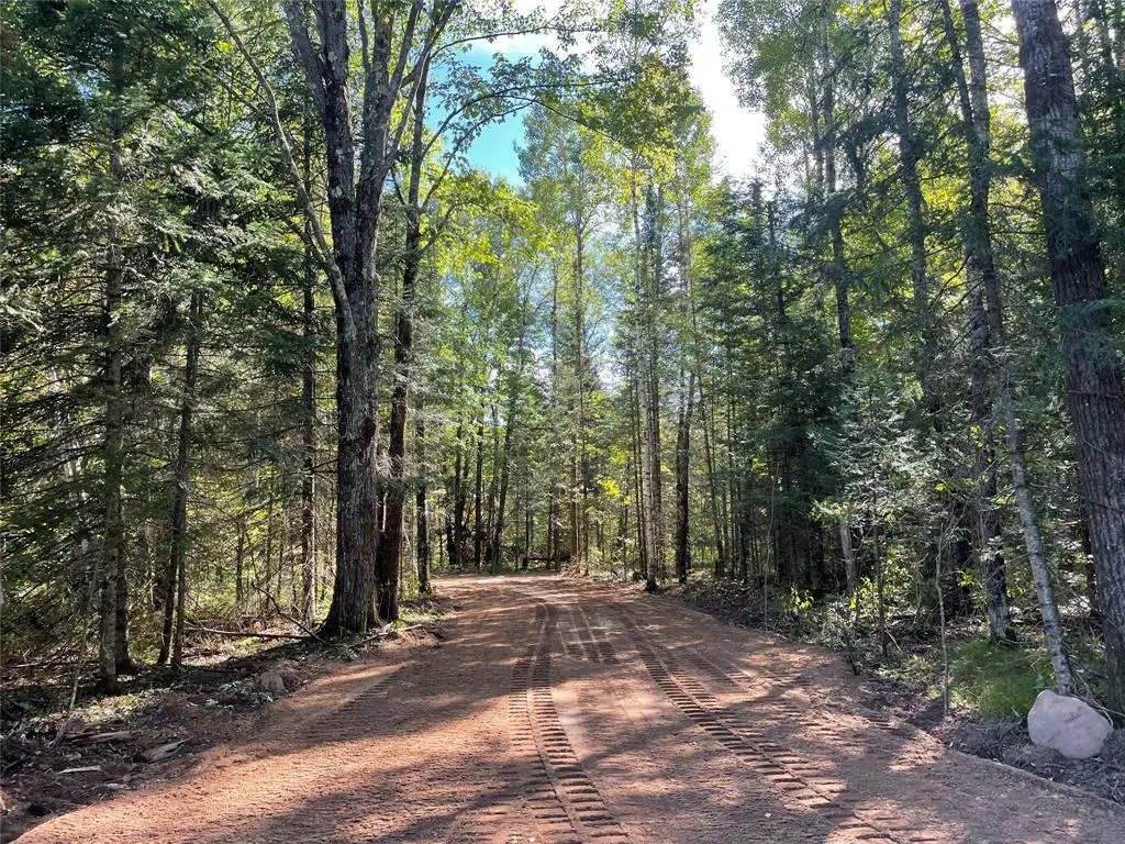 Lot 2 Fadness Road, Winter, WI 54896 - #1