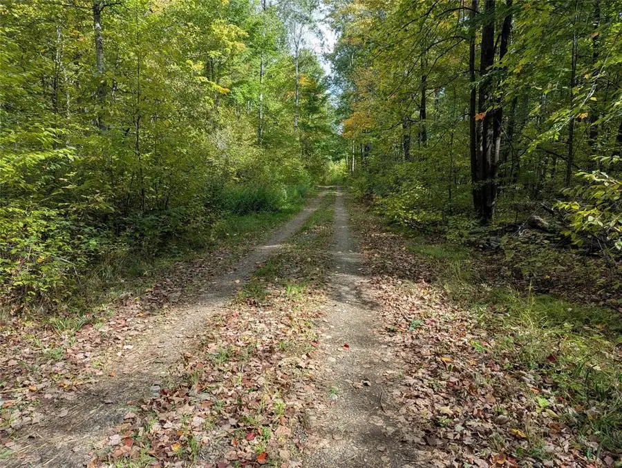 Lot 17 Rabbit Run, Ojibwa, WI 54862 - #3