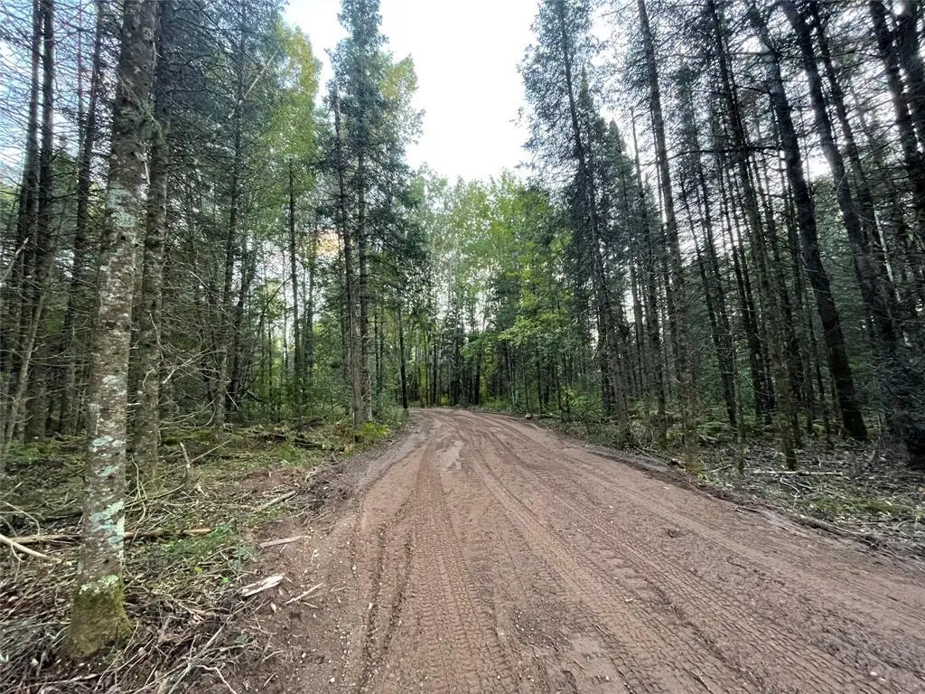 Lot 1 Fadness Road, Winter, WI 54896 - #1