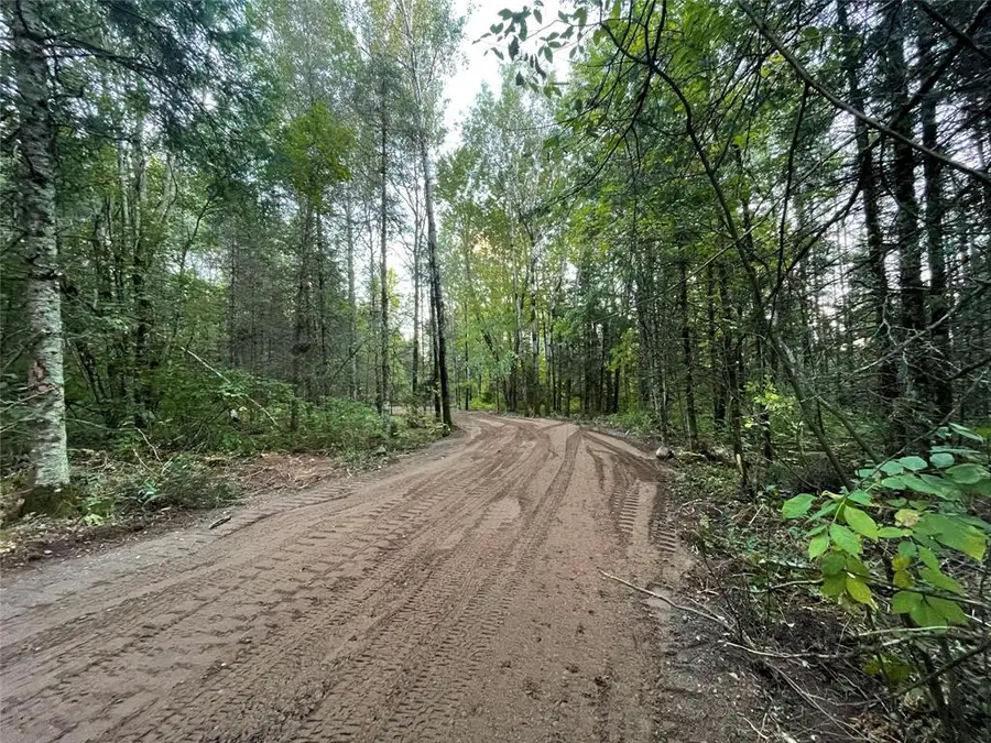 Lot 1 Fadness Road, Winter, WI 54896 - #2