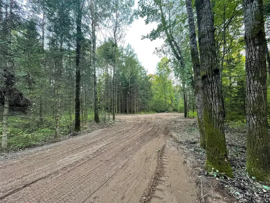 Lot 1 Fadness Road, Winter, WI 54896 - #3