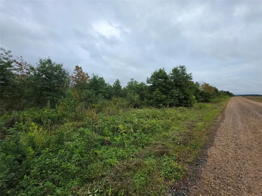 Lot 6 370th Avenue, Elk Mound, WI 54739 - #3