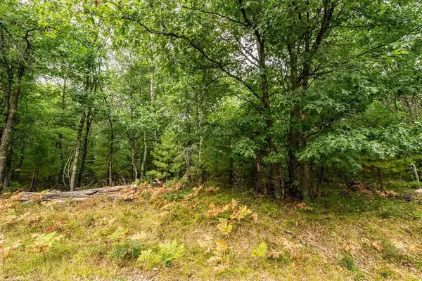 001 Birch Lake Road, Barnes, WI 54873