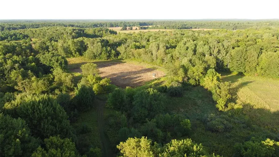 xxx 340th Avenue, Clam Falls, WI 54837 - #3