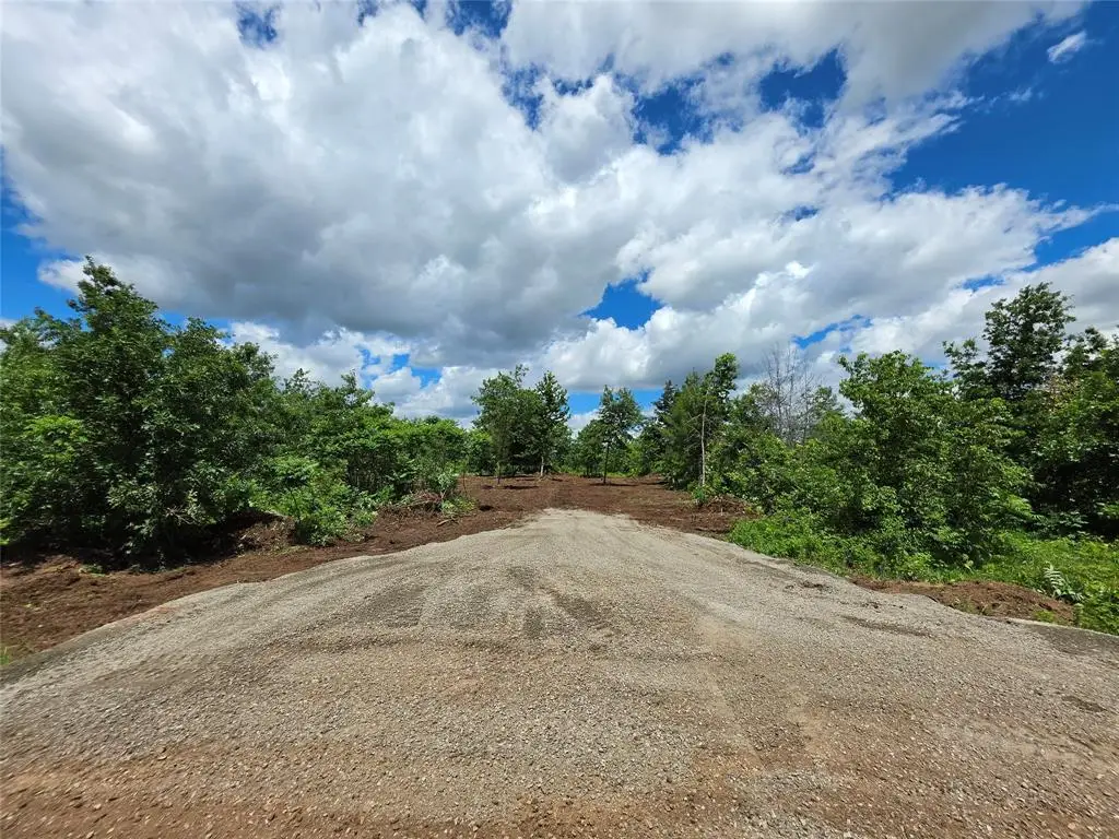 Lot 8 370th Avenue, Elk Mound, WI 54739 - #1
