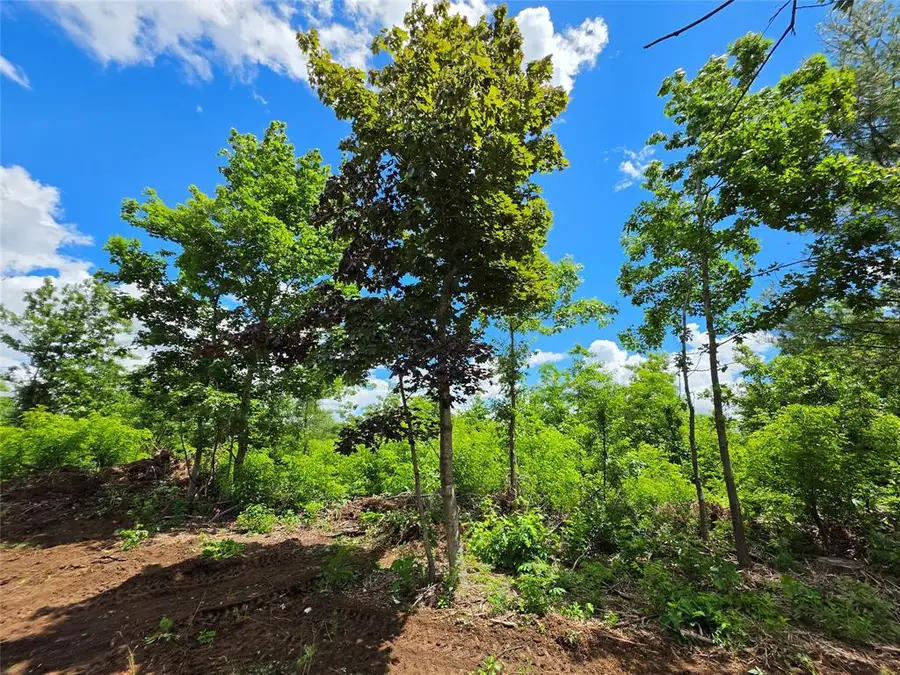 Lot 8 370th Avenue, Elk Mound, WI 54739 - #3