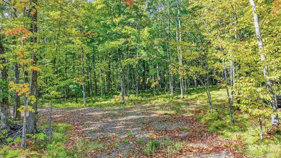8087N Universal Drive, Winter, WI 54896 - #3