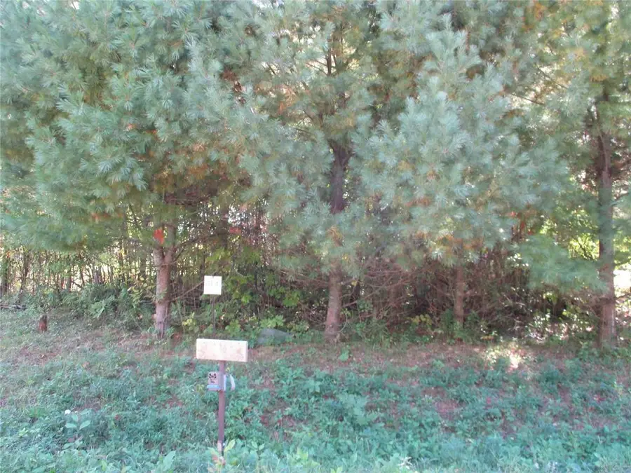LOT 4 28 7/8 St/Somerset South Circle, Birchwood, WI 54817 - #3