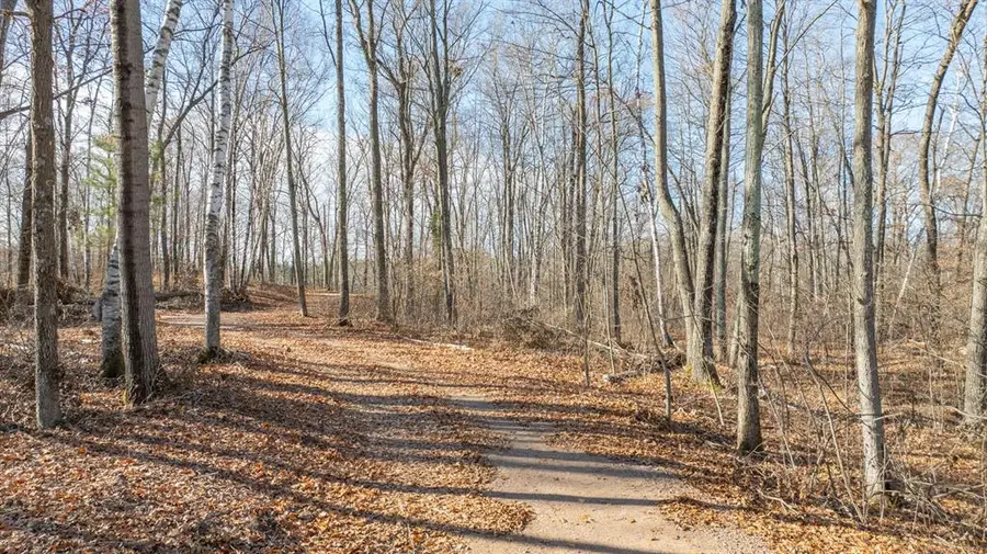 Lot 1 on 290th Avenue, Holcombe, WI 54745 - #2