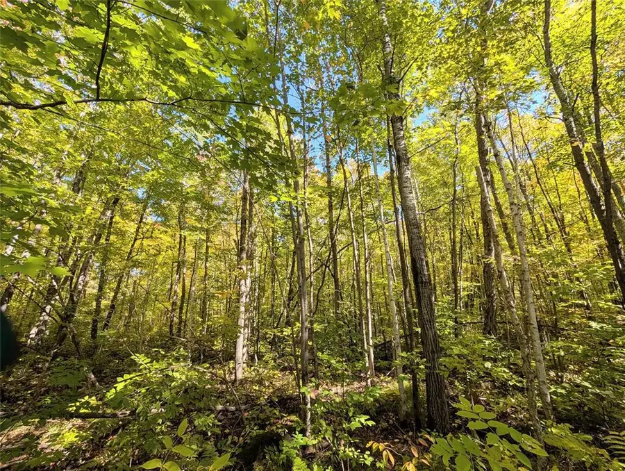TBD County Road B, Round Lake, WI 54843 - #2