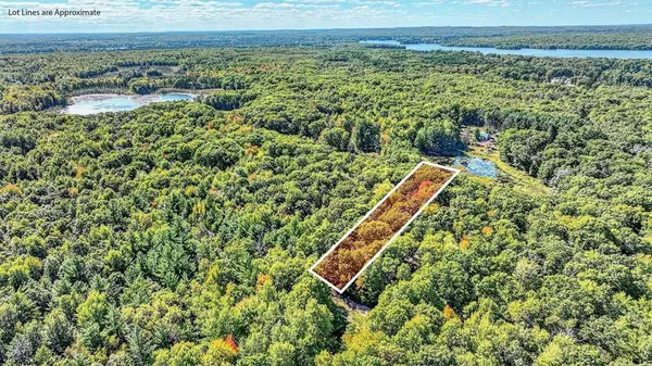 Lot 2 on 290th Avenue, Holcombe, WI 54745