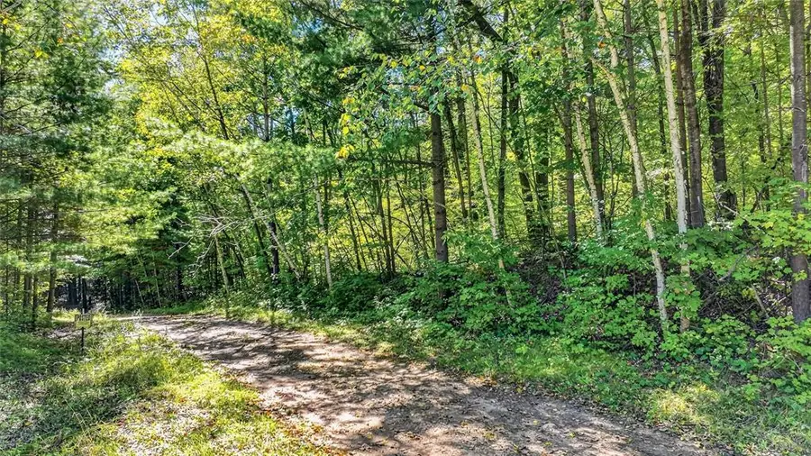 Lot 2 on 290th Avenue, Holcombe, WI 54745 - #2