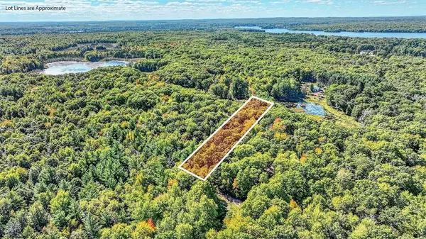 Lot 3 on 290th Avenue, Holcombe, WI 54745