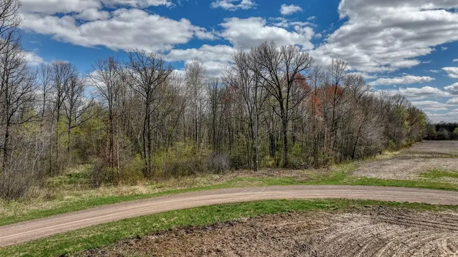 27.6 Acres off Helena Drive, Conrath, WI 54731 - #3