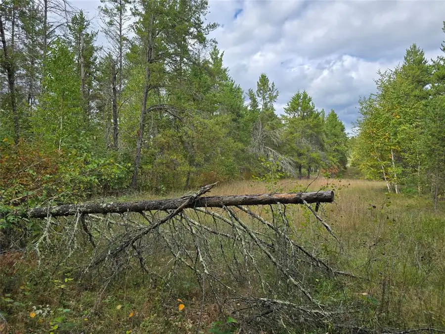 0 Barrett Trail, Trego, WI 54888 - #2